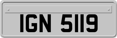 IGN5119