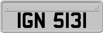 IGN5131