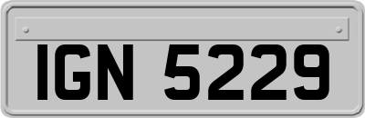 IGN5229