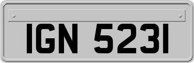 IGN5231