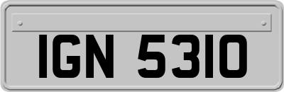 IGN5310