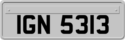 IGN5313