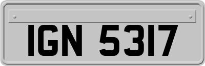 IGN5317