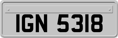 IGN5318