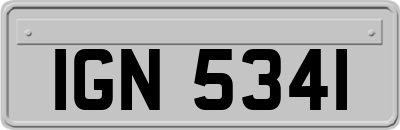 IGN5341