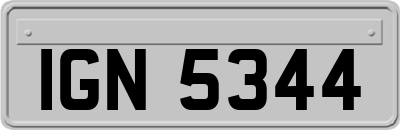 IGN5344