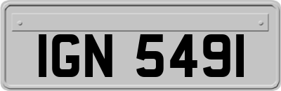 IGN5491