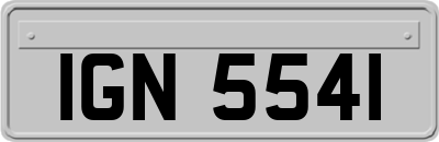 IGN5541