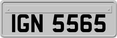 IGN5565