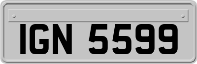 IGN5599