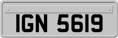 IGN5619