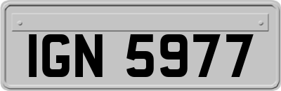 IGN5977