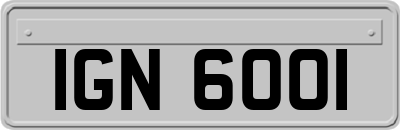 IGN6001