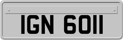 IGN6011