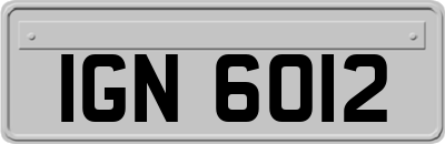 IGN6012