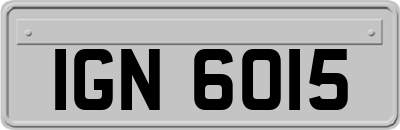 IGN6015