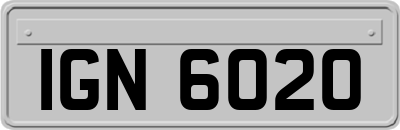 IGN6020
