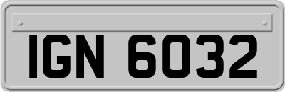 IGN6032