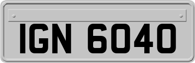 IGN6040