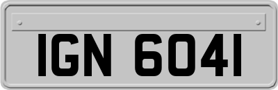 IGN6041