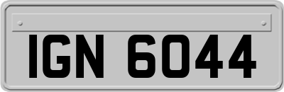 IGN6044