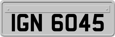 IGN6045