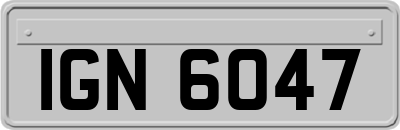 IGN6047