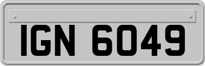 IGN6049