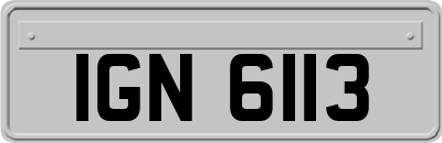 IGN6113