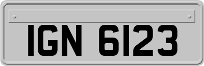 IGN6123