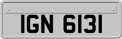 IGN6131