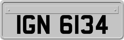 IGN6134