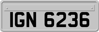 IGN6236
