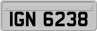 IGN6238