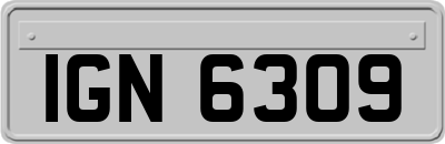 IGN6309