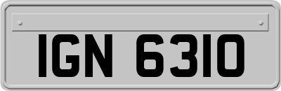 IGN6310