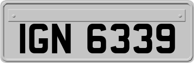 IGN6339