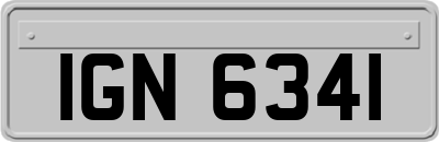 IGN6341