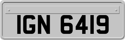 IGN6419