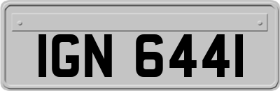 IGN6441