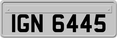 IGN6445