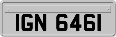 IGN6461