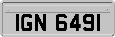 IGN6491