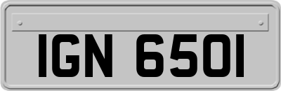 IGN6501