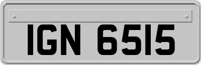 IGN6515