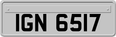 IGN6517