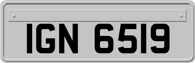 IGN6519