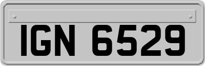 IGN6529