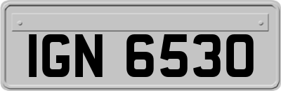 IGN6530