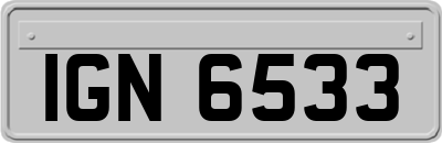 IGN6533